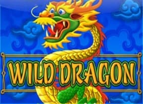 Wild Dragon